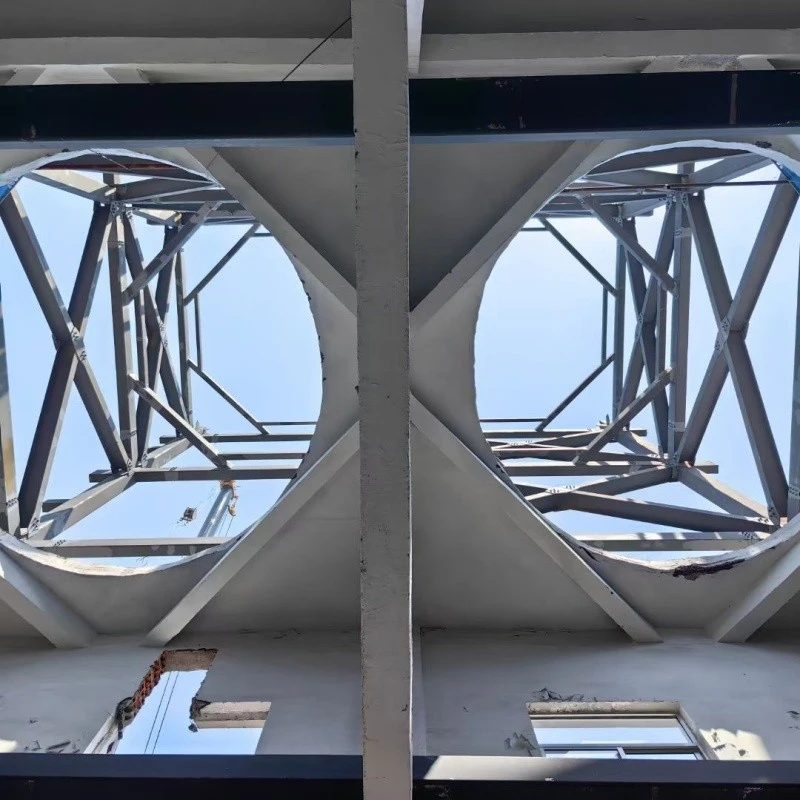 Space Frame Roof
